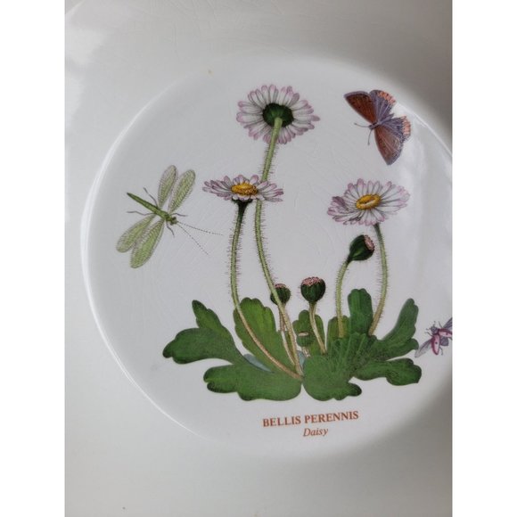Portmeirion Botanic Gardens AS IS Daisy 8" soup salad bowl - Picture 3 of 9